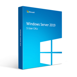 Windows Server 2019-5 user CAL